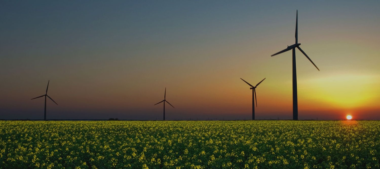 A student using energy efficiently in everyday life