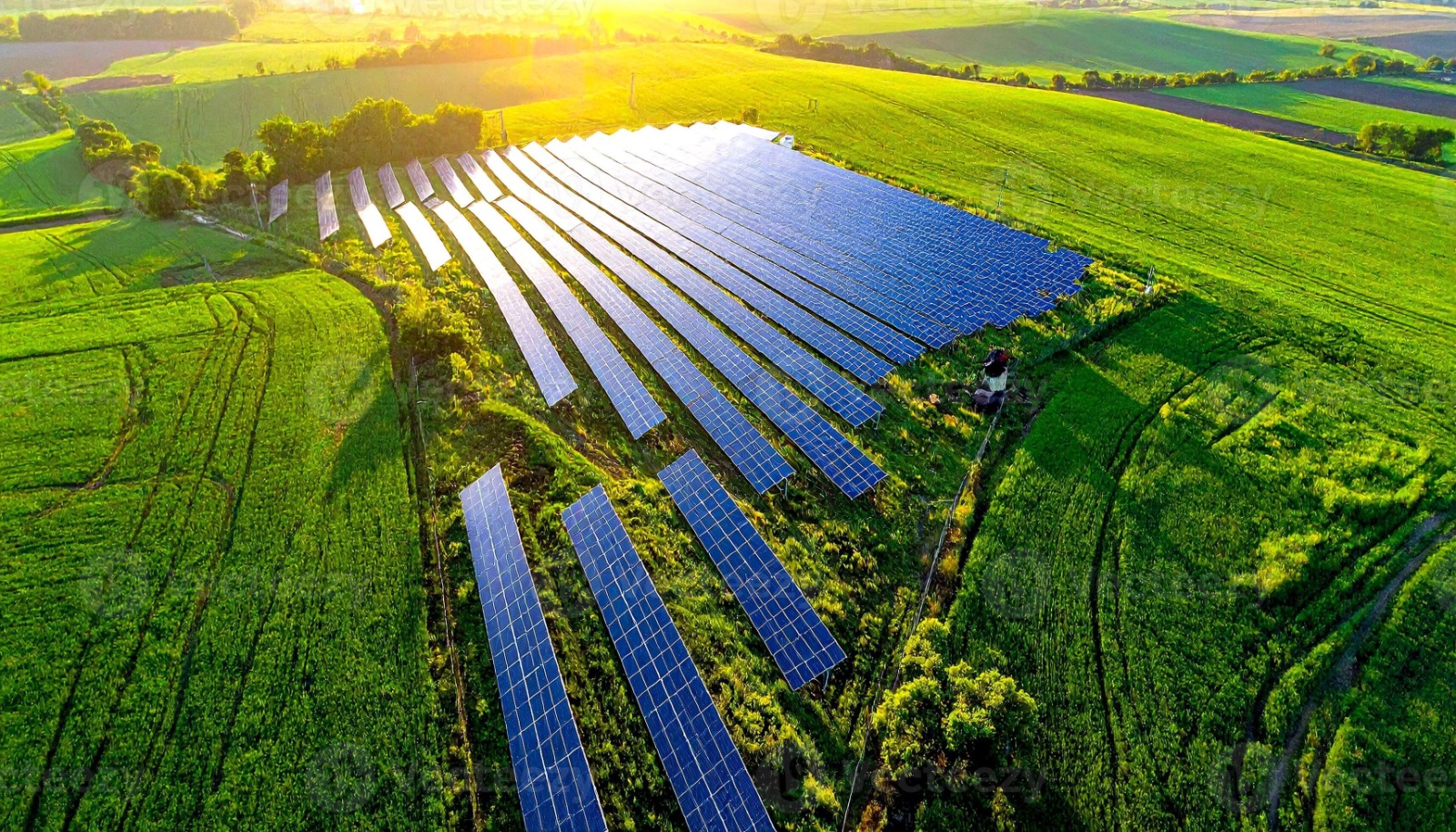 A large field of solar panels generating electricity under a clear blue sky